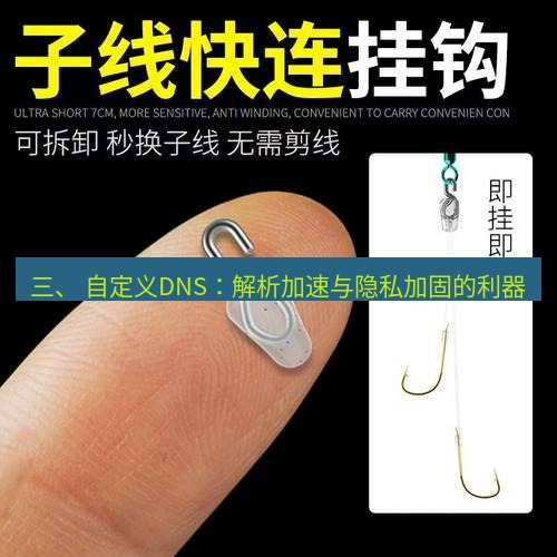 快连 三、 自定义DNS：解析加速与隐私加固的利器