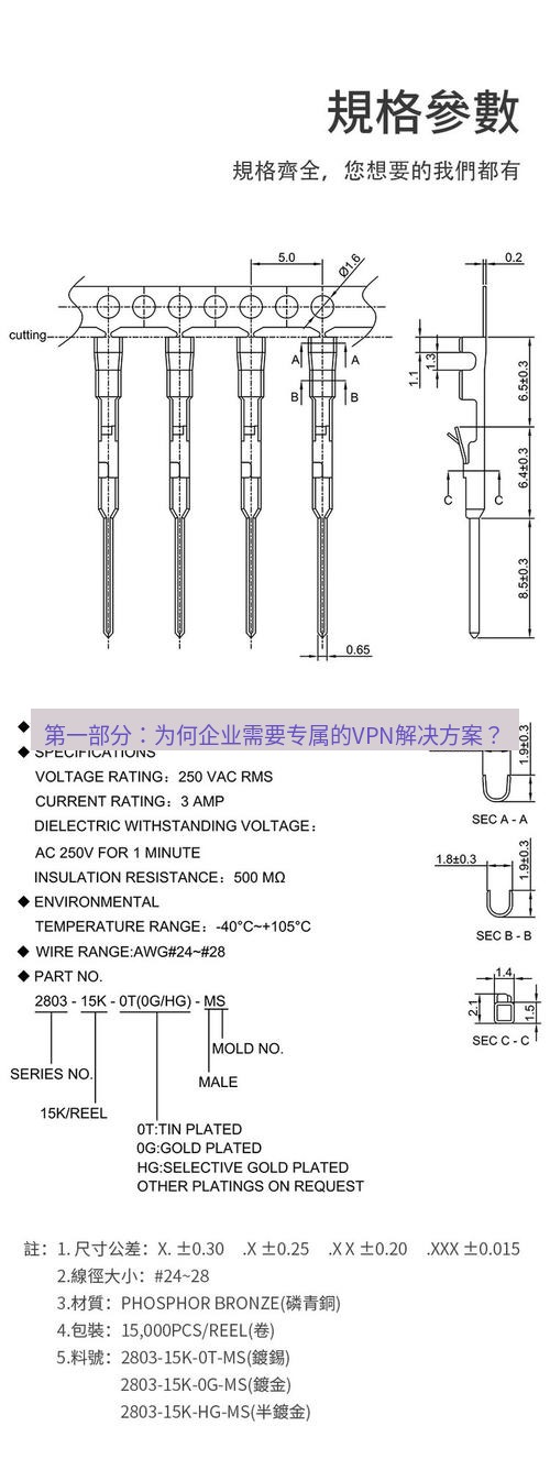 快连 第一部分：为何企业需要专属的VPN解决方案？