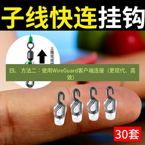 快连 四、 方法二：使用WireGuard客户端连接（更现代、高效）
