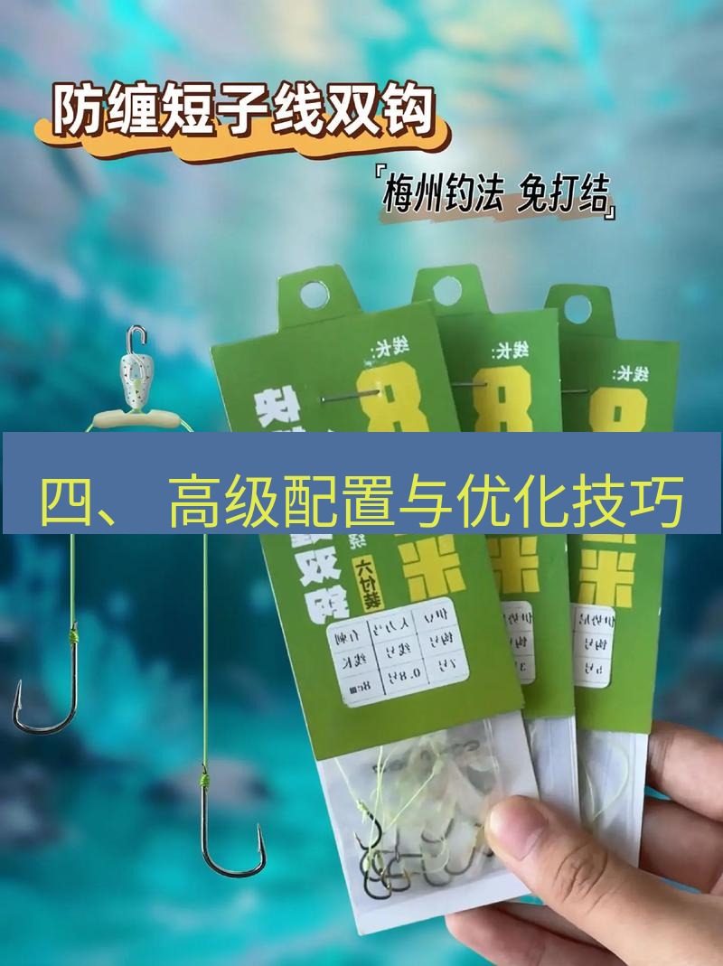 快连 四、 高级配置与优化技巧