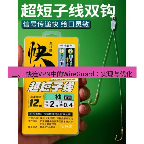 快连 三、 快连VPN中的WireGuard：实现与优化