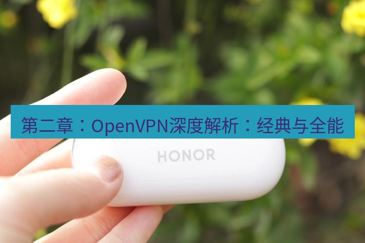 快连 第二章：OpenVPN深度解析：经典与全能