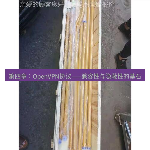 快连 第四章：OpenVPN协议——兼容性与隐蔽性的基石
