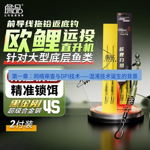 快连 第一章：网络审查与DPI技术——混淆技术诞生的背景