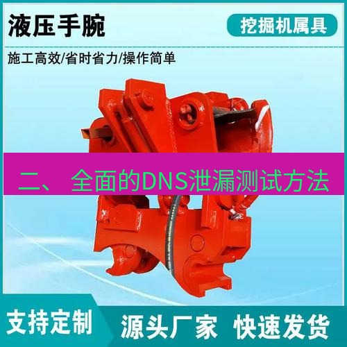 快连 二、 全面的DNS泄漏测试方法