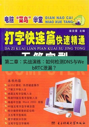 快连 第二章：实战演练：如何检测DNS与WebRTC泄漏？