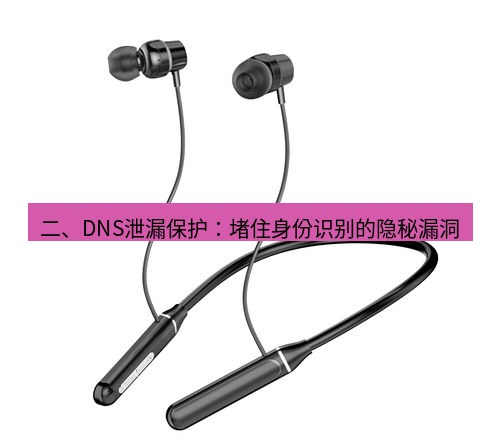 快连 二、DNS泄漏保护：堵住身份识别的隐秘漏洞