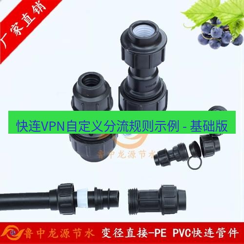 快连 快连VPN自定义分流规则示例 - 基础版