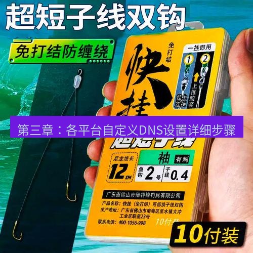 快连 第三章：各平台自定义DNS设置详细步骤