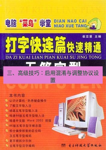 快连 三、高级技巧：启用混淆与调整协议设置