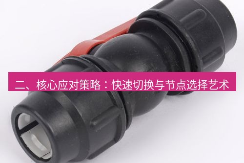 快连 二、核心应对策略：快速切换与节点选择艺术