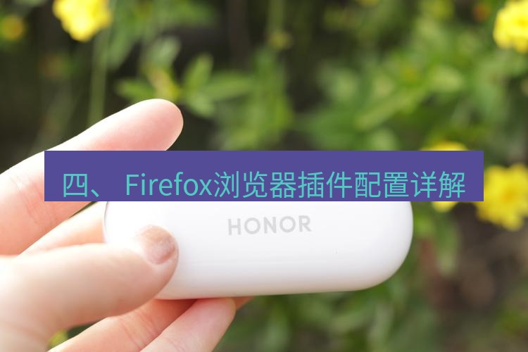 快连 四、 Firefox浏览器插件配置详解