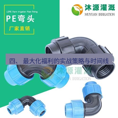 快连 四、 最大化福利的实战策略与时间线