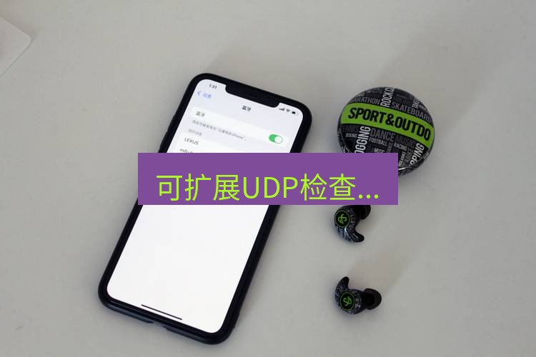 快连 可扩展UDP检查...