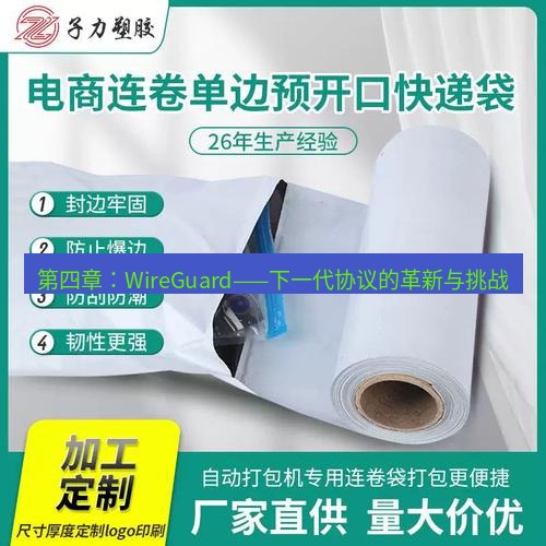 快连 第四章：WireGuard——下一代协议的革新与挑战