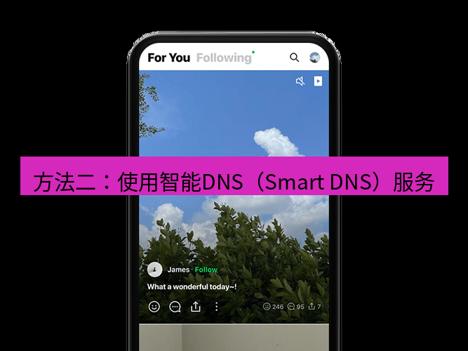 快连 方法二：使用智能DNS（Smart DNS）服务