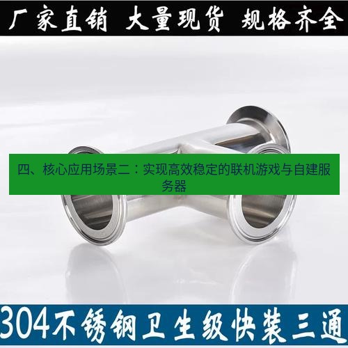 快连 四、核心应用场景二：实现高效稳定的联机游戏与自建服务器