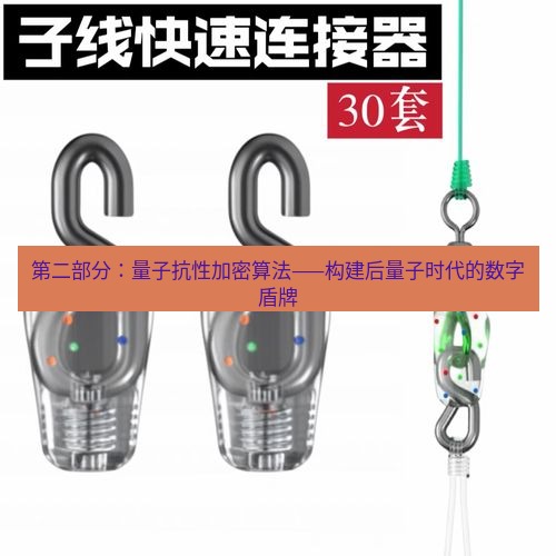 快连 第二部分：量子抗性加密算法——构建后量子时代的数字盾牌