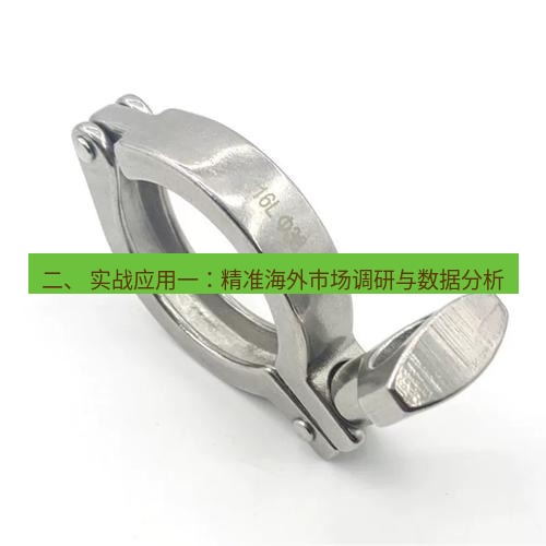 快连 二、 实战应用一：精准海外市场调研与数据分析