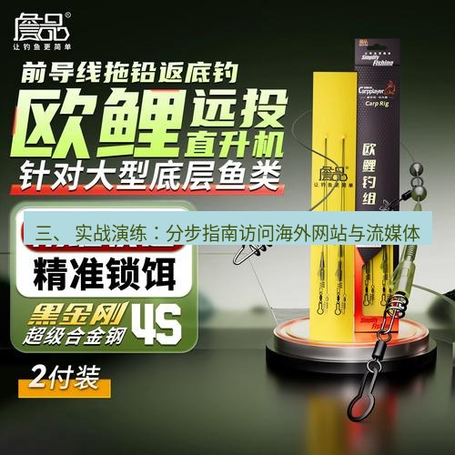 快连 三、 实战演练：分步指南访问海外网站与流媒体