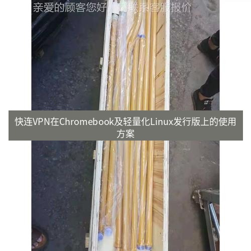 快连 快连VPN在Chromebook及轻量化Linux发行版上的使用方案