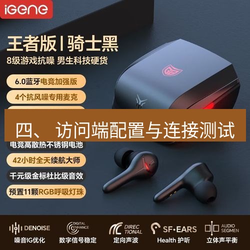 快连 四、 访问端配置与连接测试