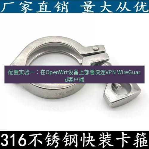快连 配置实验一：在OpenWrt设备上部署快连VPN WireGuard客户端
