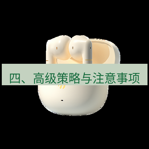 快连 四、高级策略与注意事项