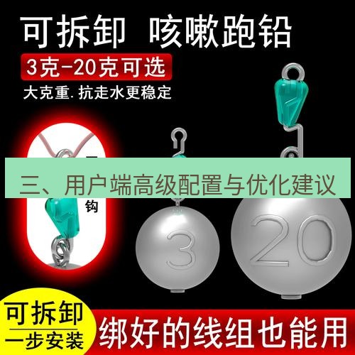 快连 三、用户端高级配置与优化建议
