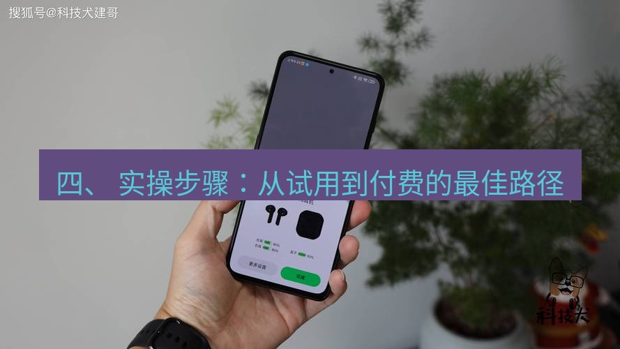 快连 四、 实操步骤：从试用到付费的最佳路径