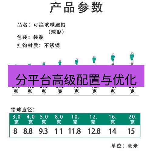 快连 分平台高级配置与优化