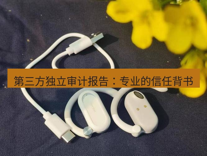 快连 第三方独立审计报告：专业的信任背书