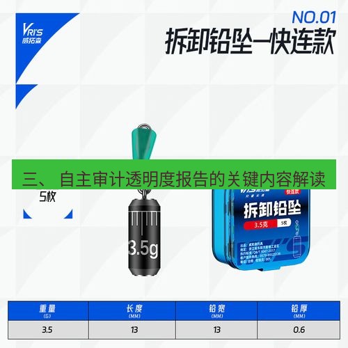 快连 三、 自主审计透明度报告的关键内容解读