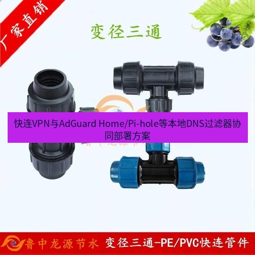 快连 快连VPN与AdGuard Home/Pi-hole等本地DNS过滤器协同部署方案