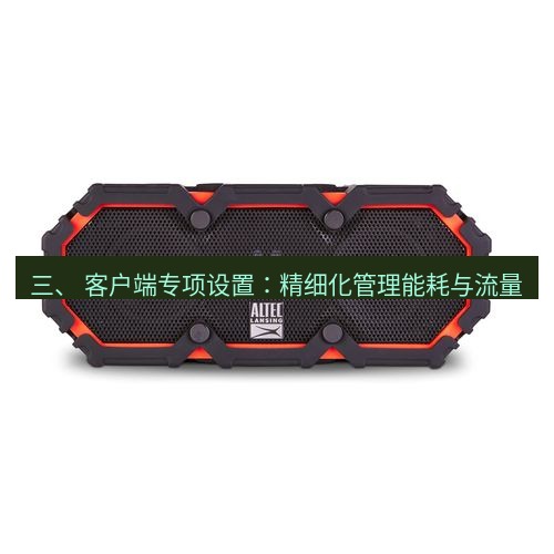 快连 三、 客户端专项设置：精细化管理能耗与流量