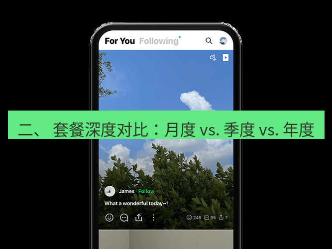 快连 二、 套餐深度对比：月度 vs. 季度 vs. 年度