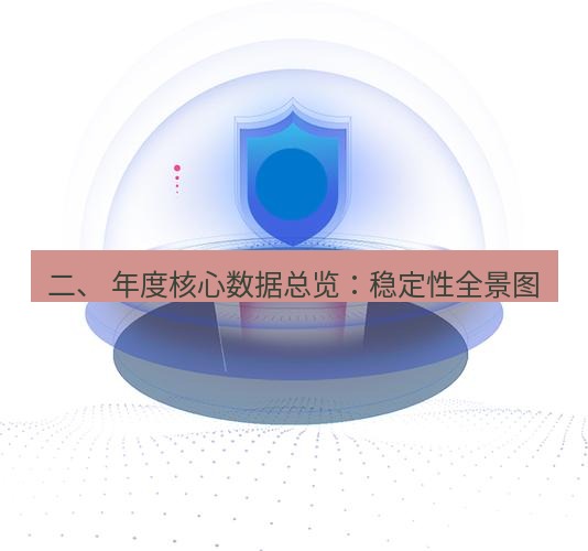 快连 二、 年度核心数据总览：稳定性全景图