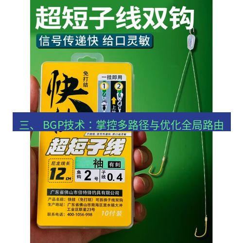 快连 三、 BGP技术：掌控多路径与优化全局路由