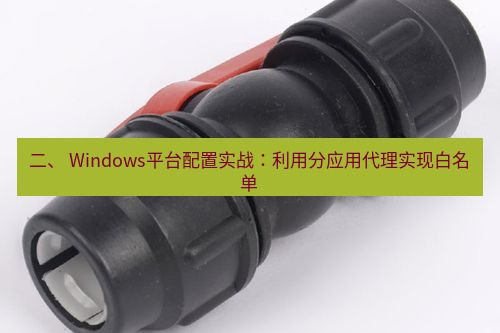 快连 二、 Windows平台配置实战：利用分应用代理实现白名单