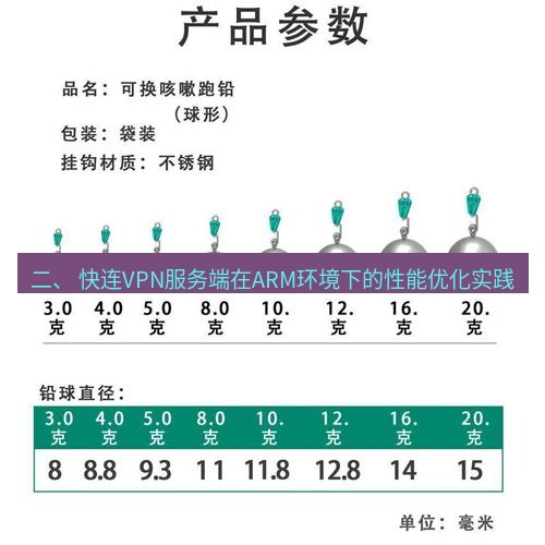 快连 二、 快连VPN服务端在ARM环境下的性能优化实践