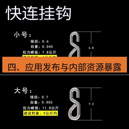 快连 四、应用发布与内部资源暴露