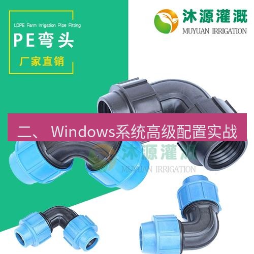 快连 二、 Windows系统高级配置实战