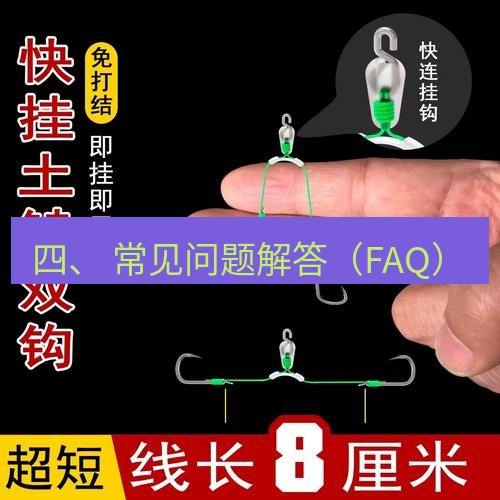 快连 四、 常见问题解答（FAQ）