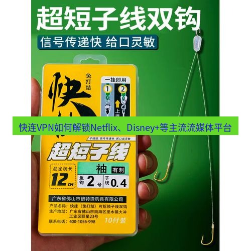 快连 快连VPN如何解锁Netflix、Disney+等主流流媒体平台