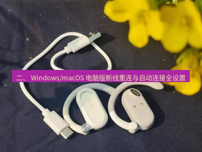 快连 二、 Windows/macOS 电脑版断线重连与自动连接全设置
