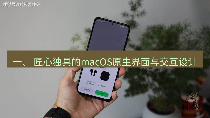 快连 一、 匠心独具的macOS原生界面与交互设计